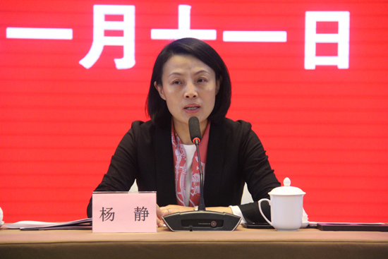 2019杨静经济_...省经信委副主任杨静汇报我省中小企业民营经济发展情况-中小企业发...(3)