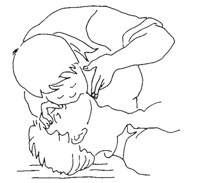 mmexport1725519419176.jpg