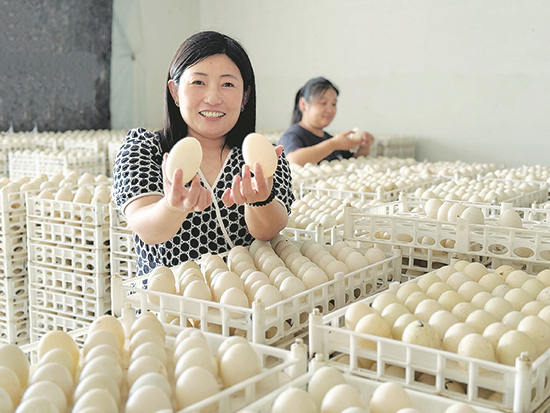 微信图片_20250624115407.png