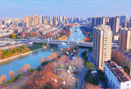 盐河两岸冬景如画