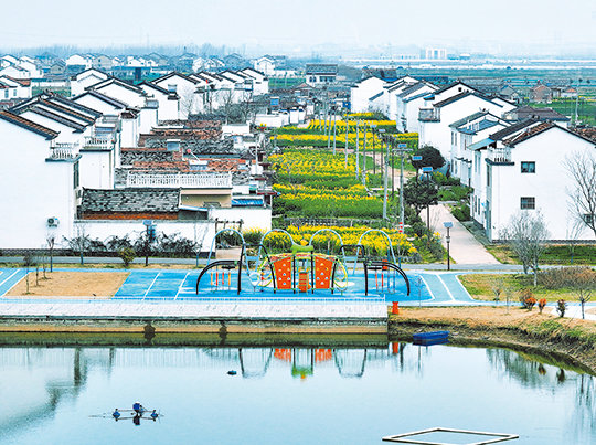 南陈集镇二河村