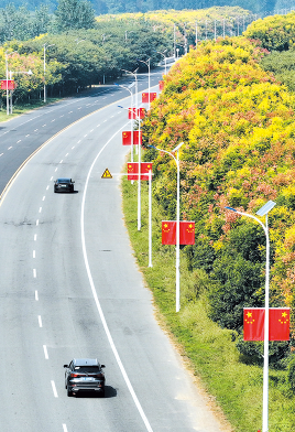 整条道路洋溢着喜庆的节日氛围